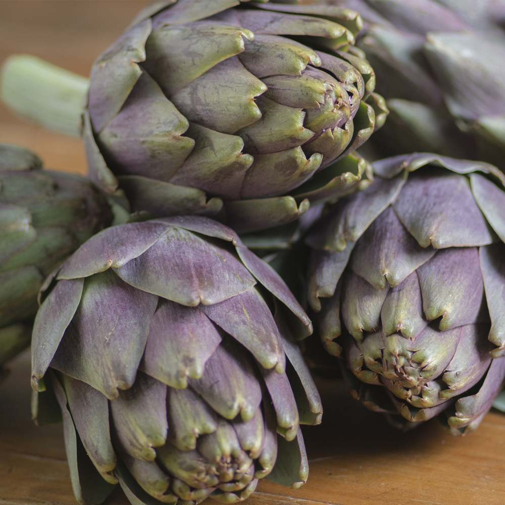 Artichoke – Green Globe (6-8 Seeds)