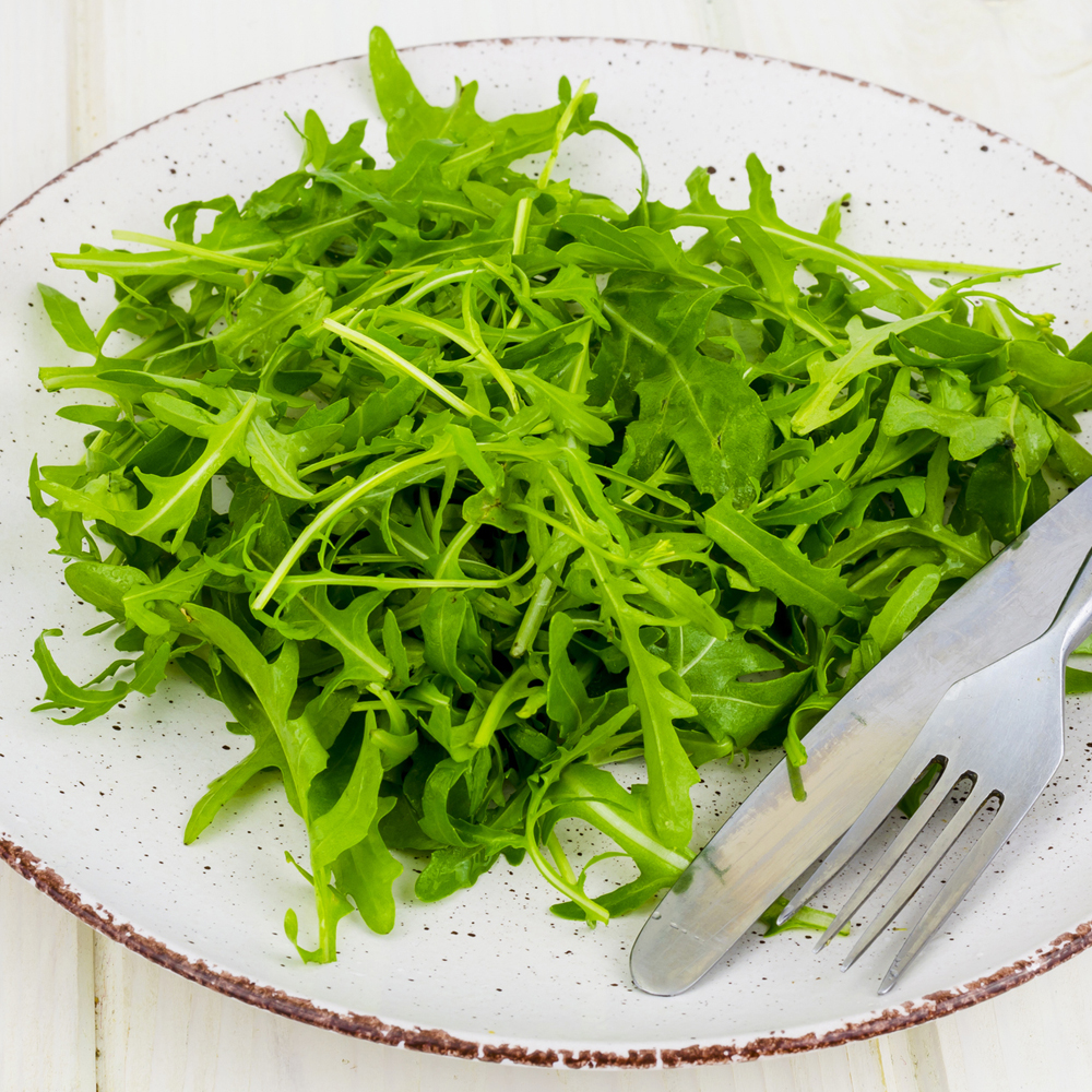 Arugula – Slow Bolt (XXXXXX Seeds)