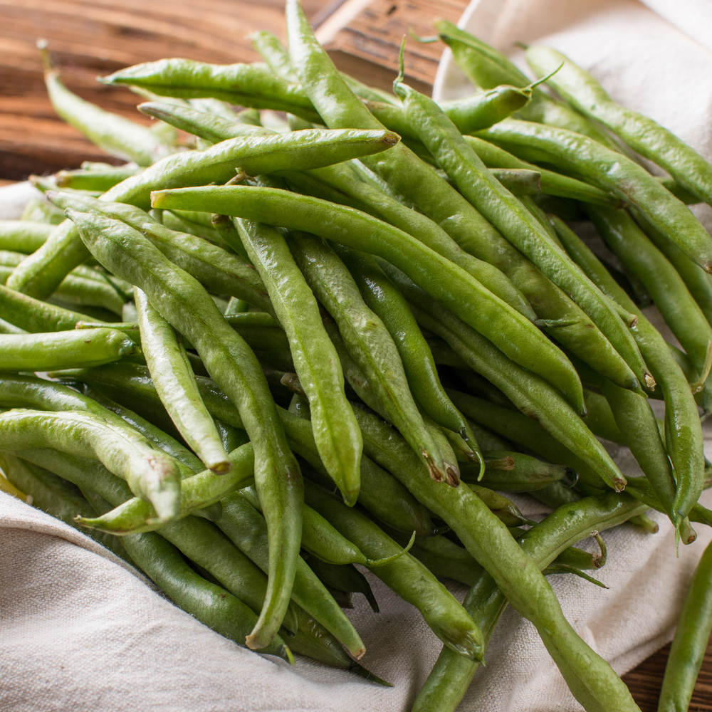 Bean Bush - Tendergreen (8-10 Seeds)