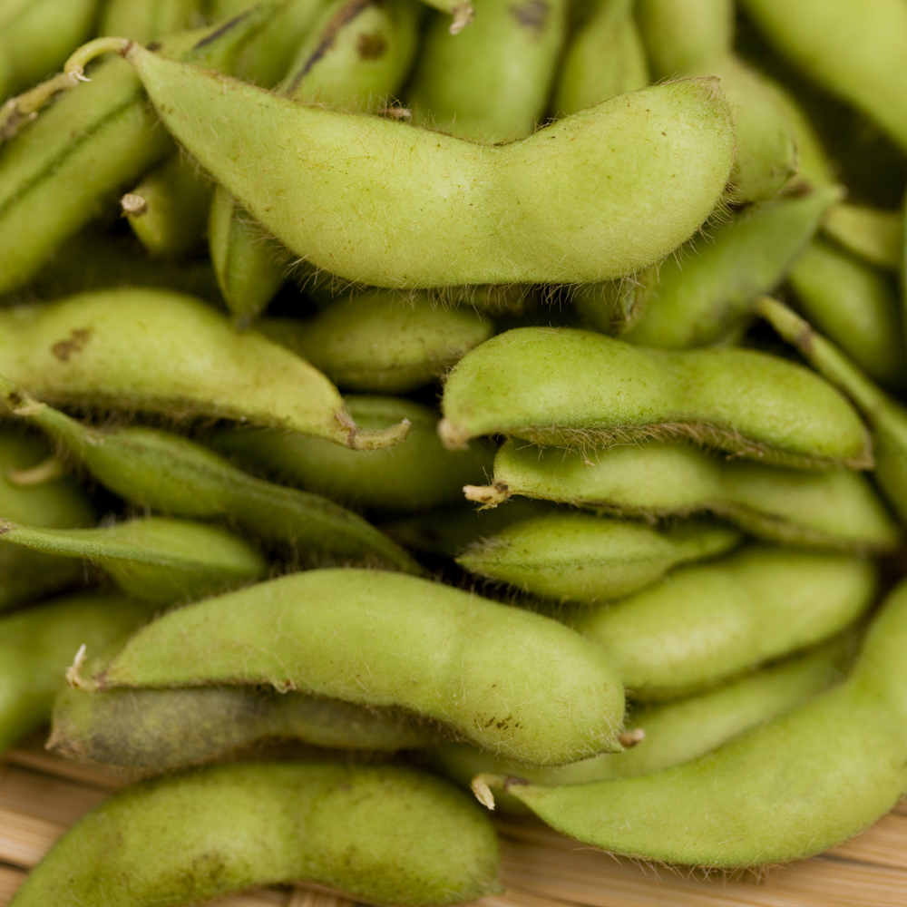 Bean Edamame – BeSweet (6-8 Seeds)