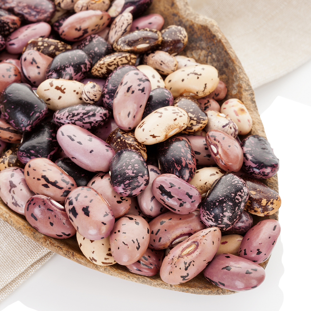 Bean Shell - Pinto (8-10 Seeds)