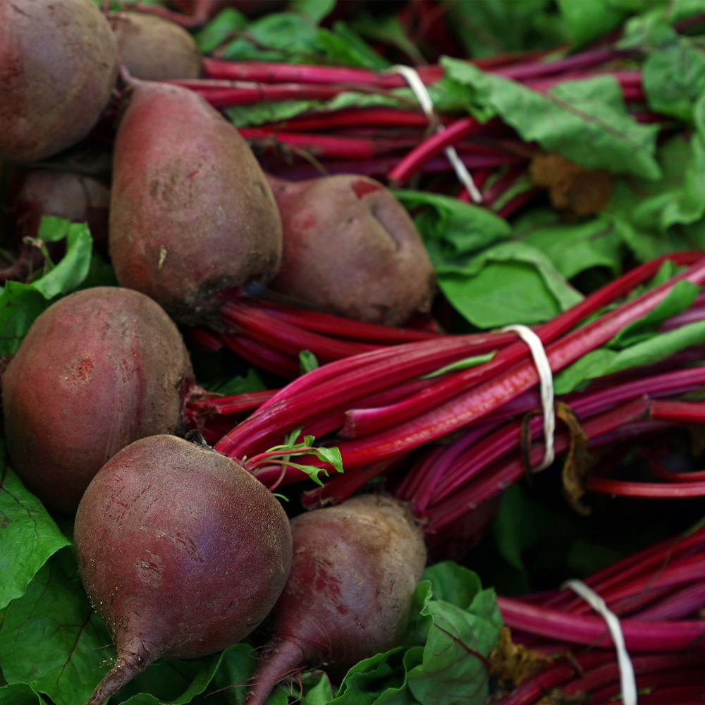 Beet – Detroit Dark Red (50-60 Seeds)