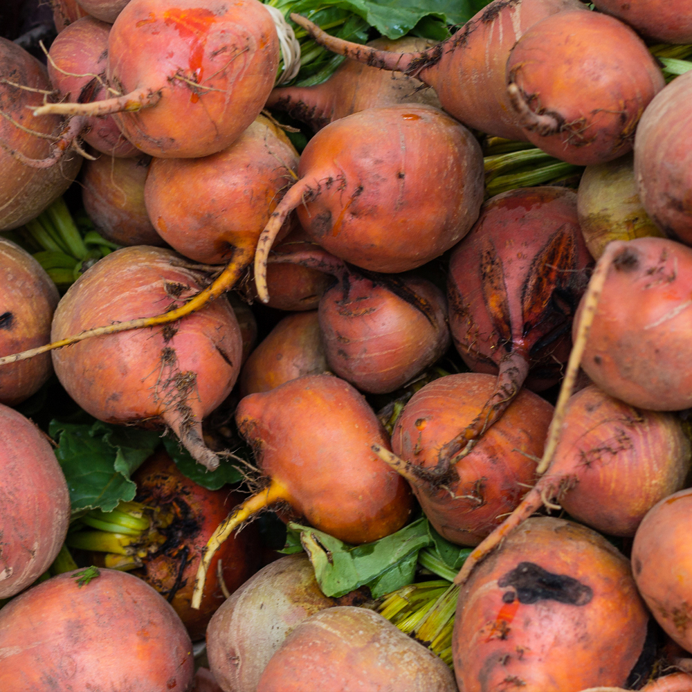 Beet – Golden Detroit (15-20 Seeds)