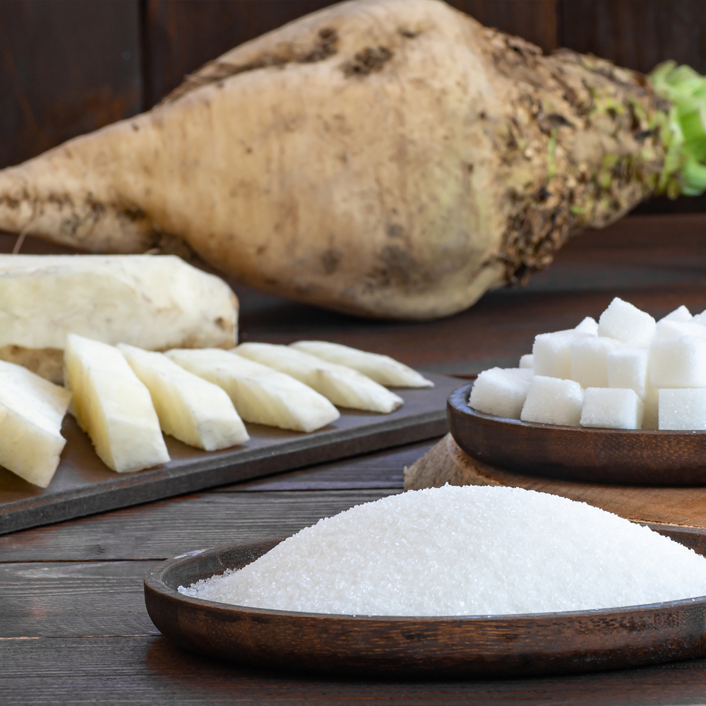 Beet - Sugar Beet