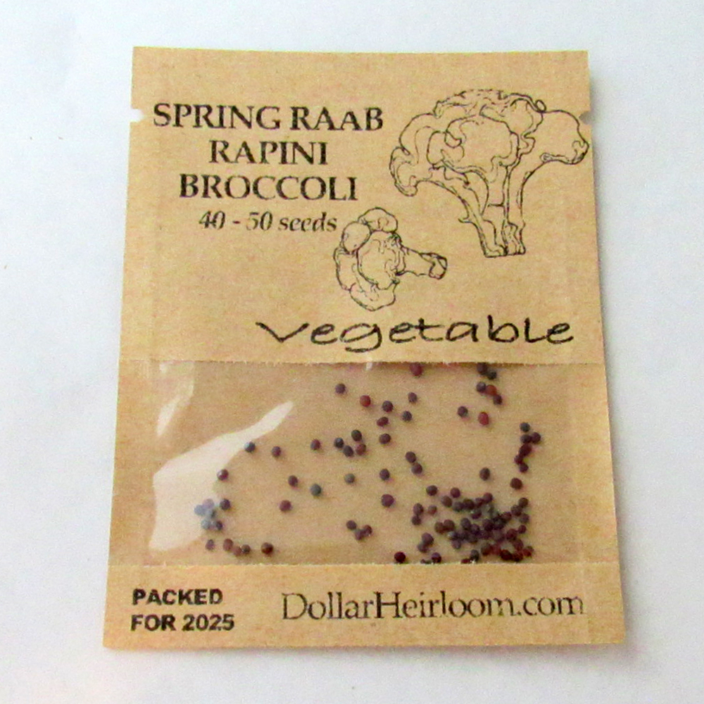 Broccoli Raab – Spring Rapini (40-50 Seeds)