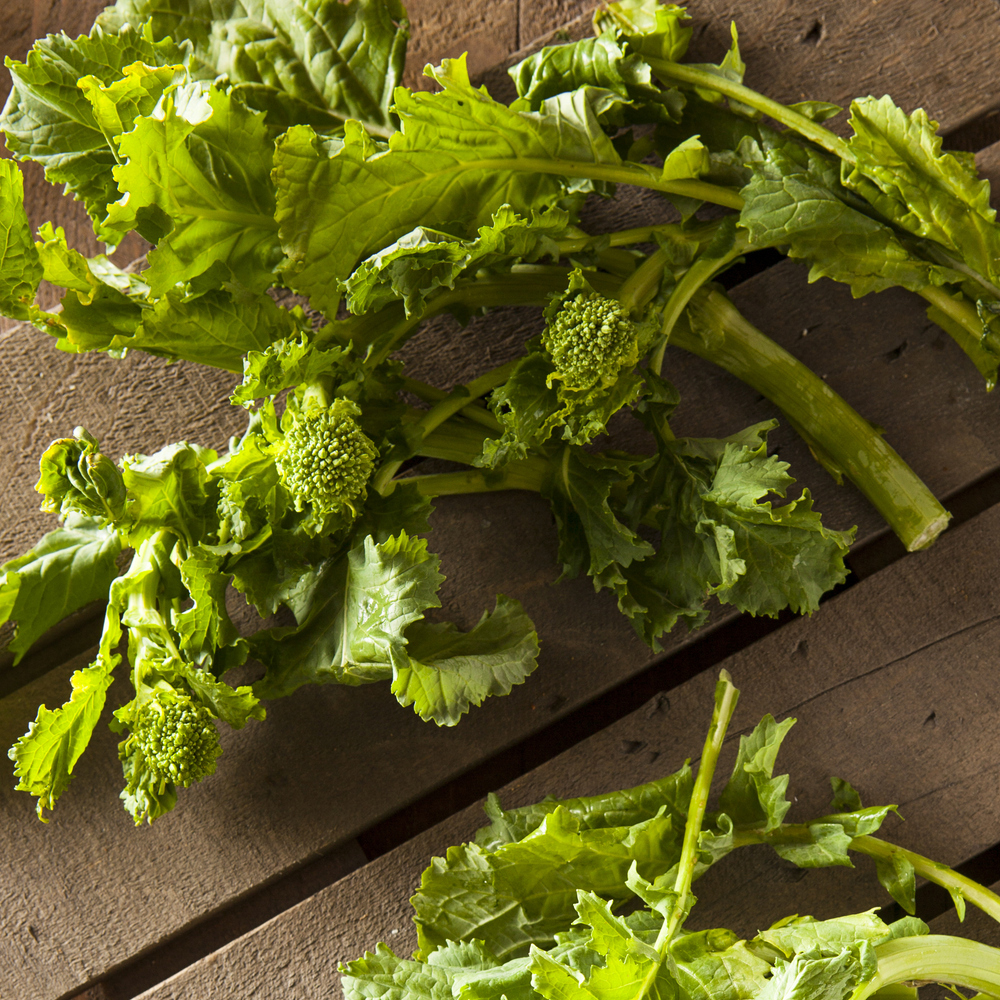 Broccoli Raab – Spring Rapini (40-50 Seeds)