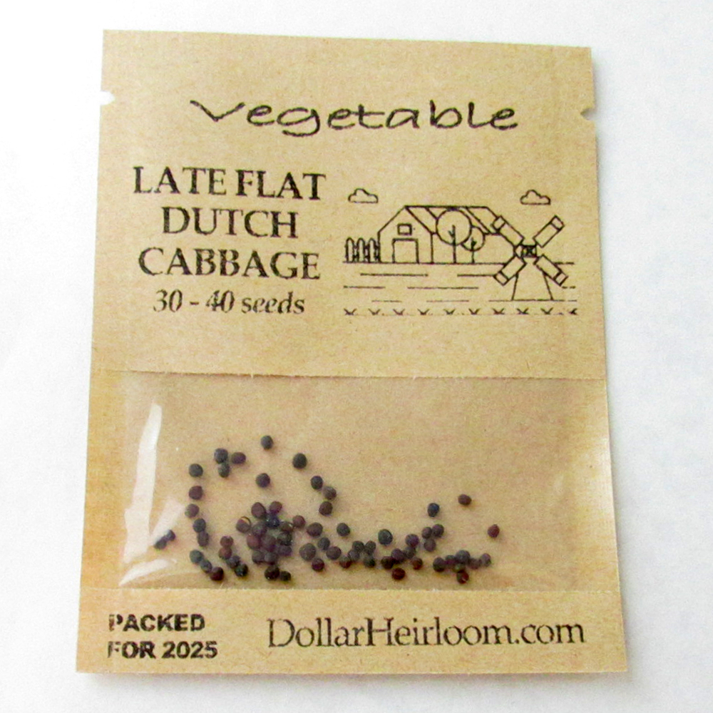 Cabbage – Late Flat Dutch (30-40 Seeds)