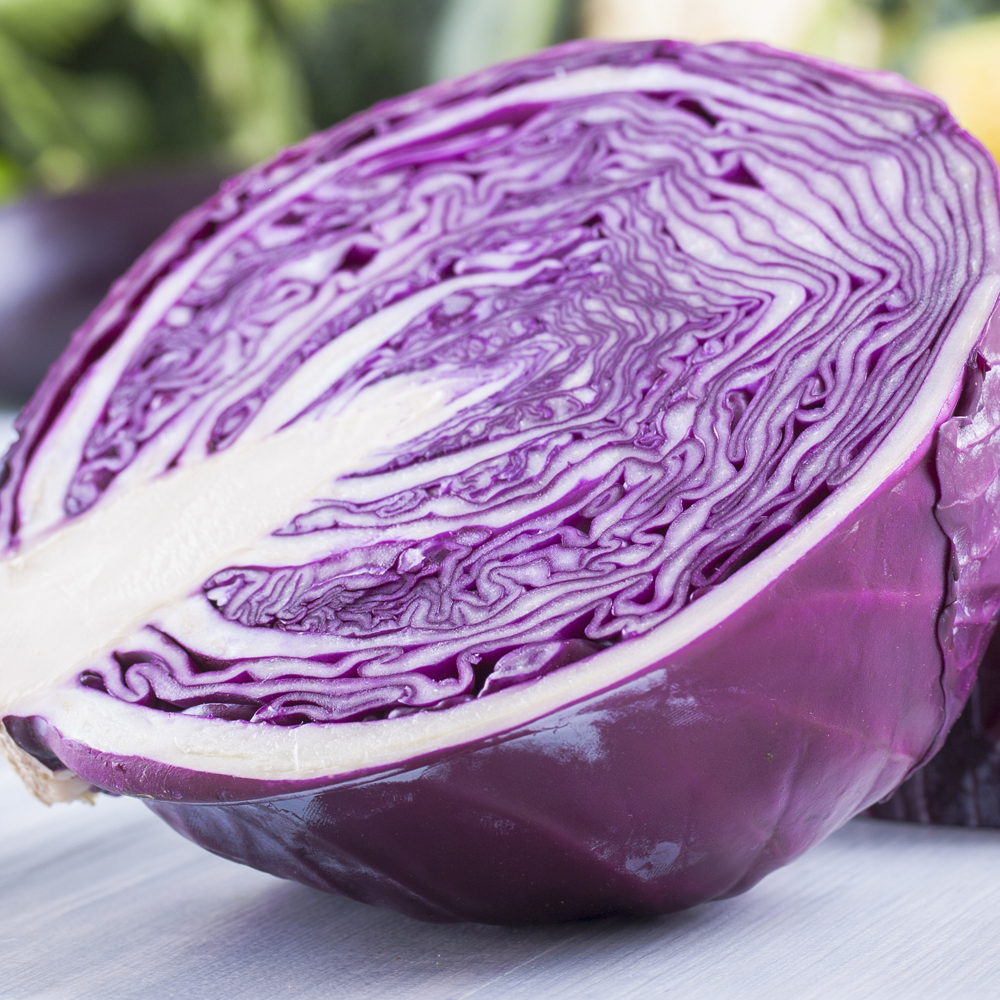 Cabbage – Mammoth Red Rock (30-40 Seeds)