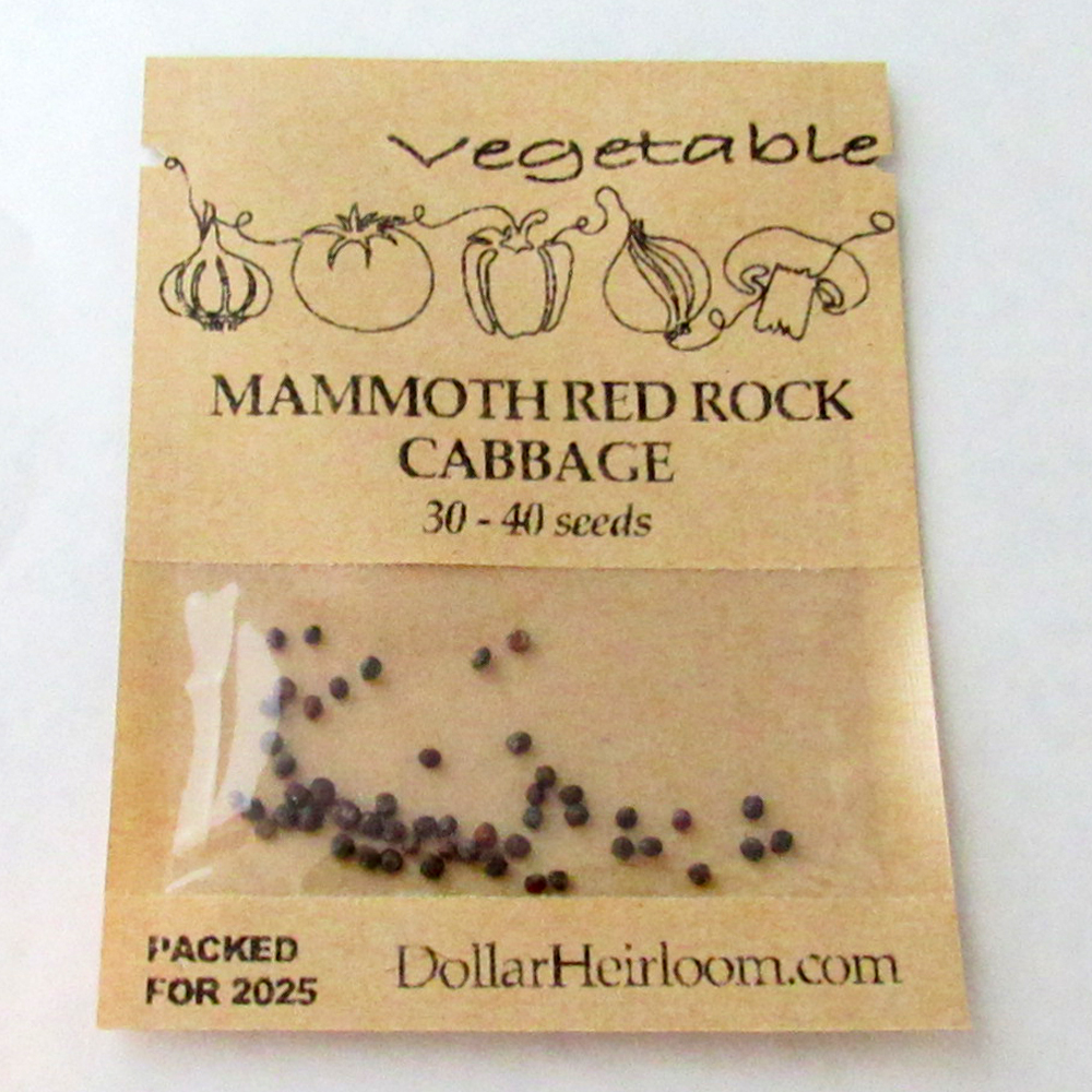 Cabbage – Mammoth Red Rock (30-40 Seeds)