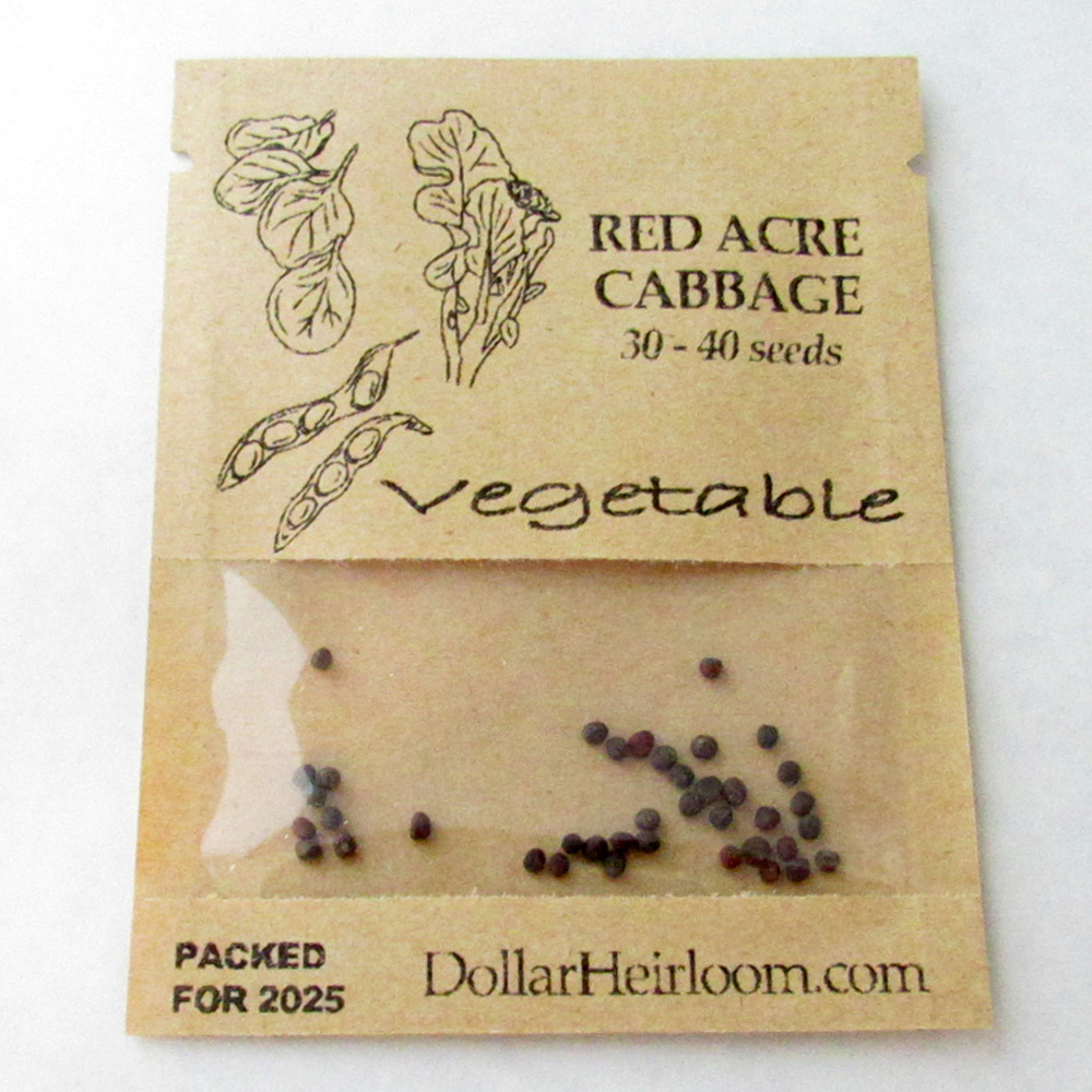 Cabbage – Red Acre (30-40 Seeds)