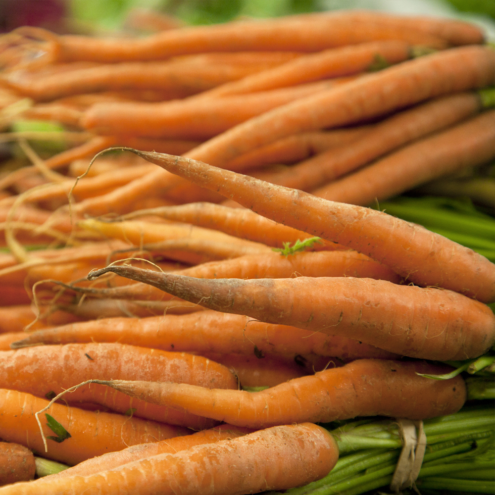 Carrot – Imperator 58 (150-200 Seeds)
