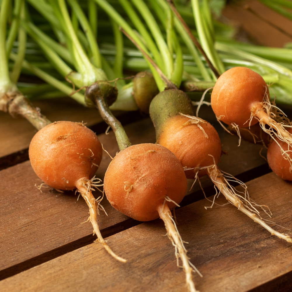 Carrot – Parisian (150-200 Seeds)