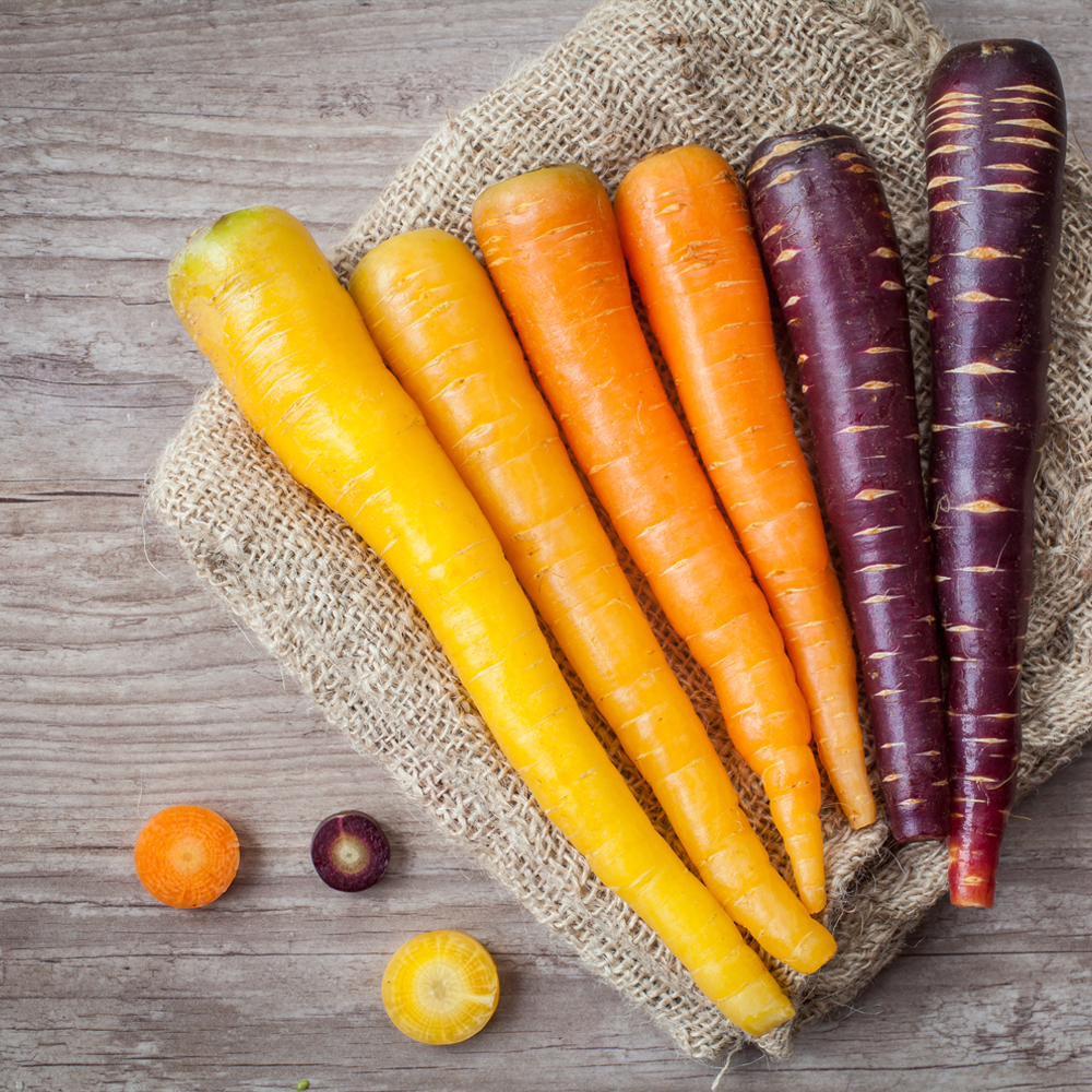 Carrot - Rainbow Blend (150-200 Seeds)