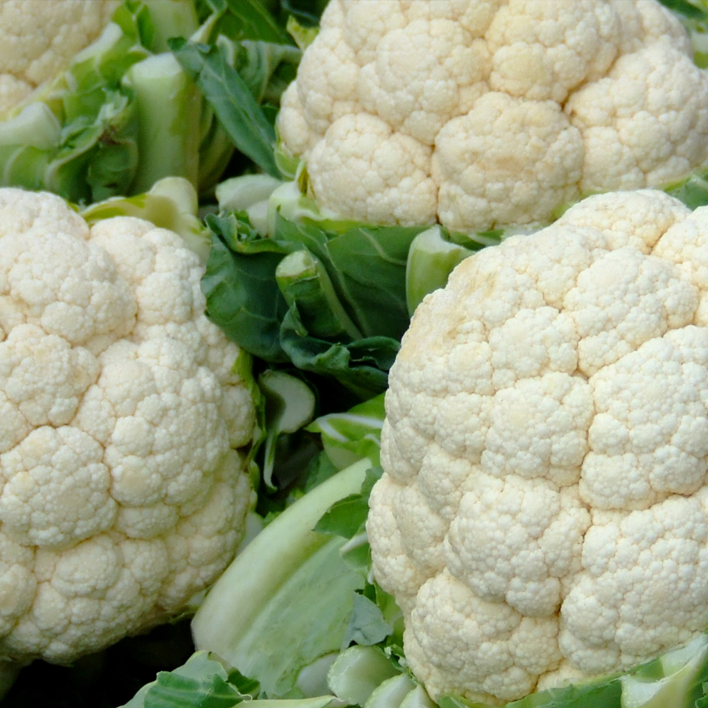 Cauliflower – Snowball Y Improved (30-40 Seeds)