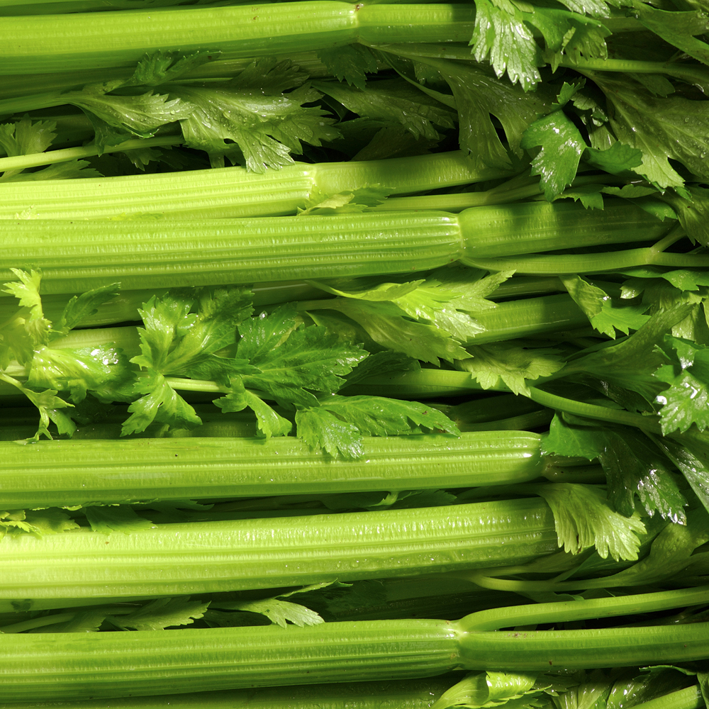 Celery – Golden Self Blanching (300-400 Seeds)
