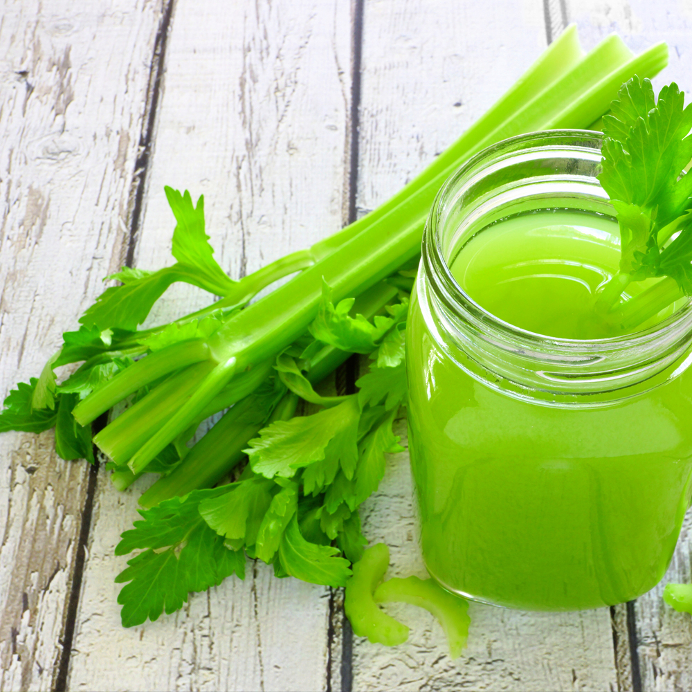 Celery - Utah 52-70 (300-400 Seeds)