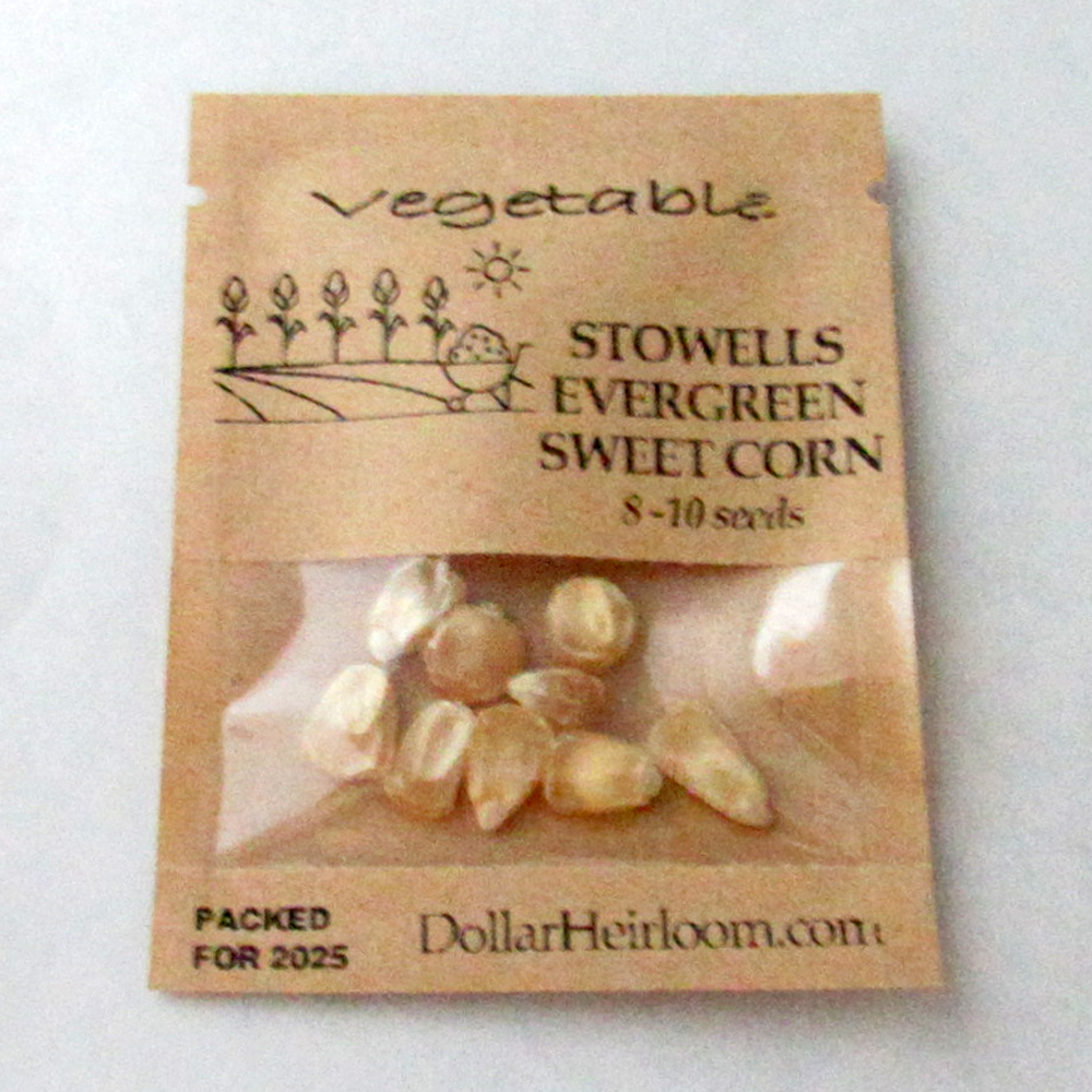 Corn Sweet – Stowells Evergreen (8-10 Seeds)