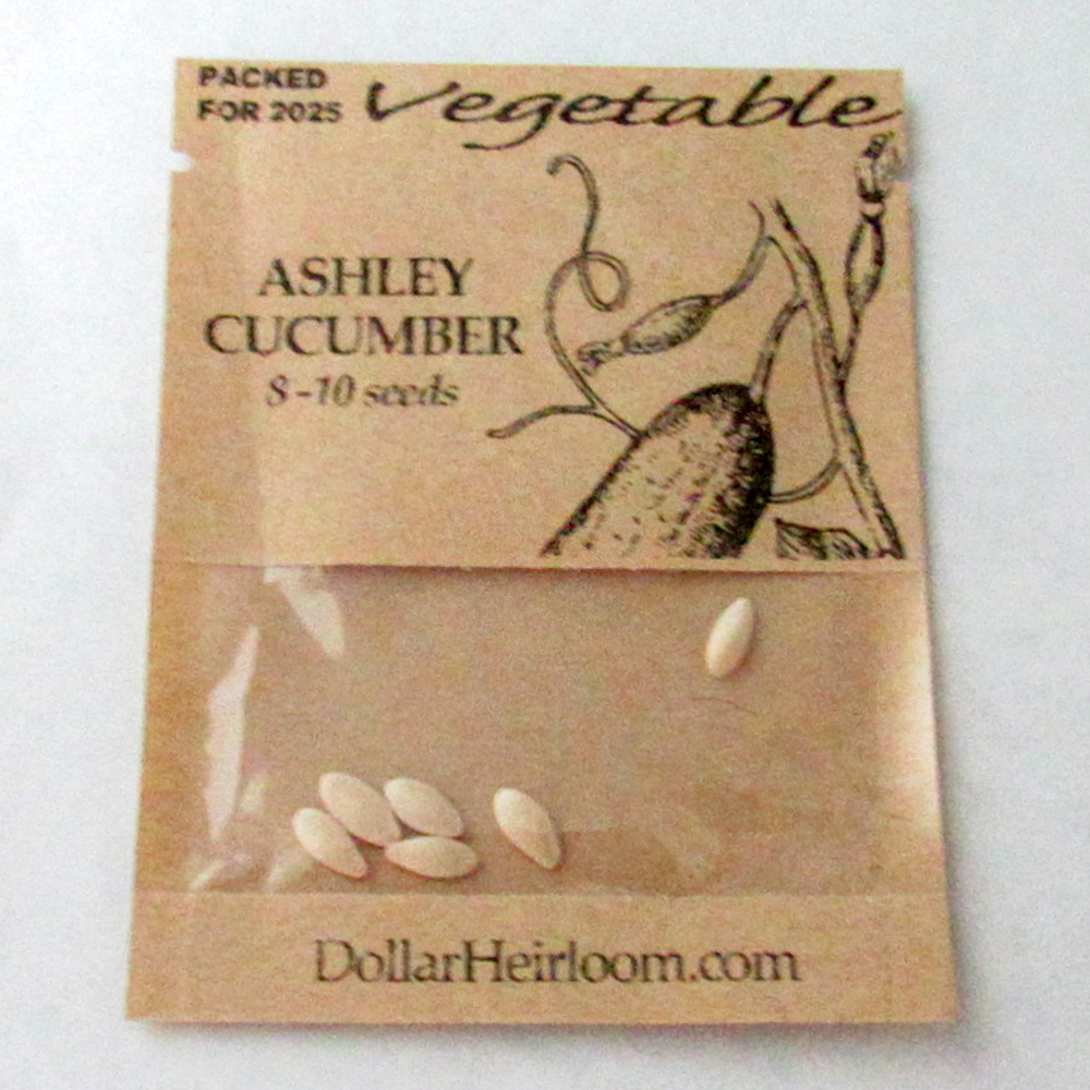 Cucumber – Ashley (8-10 Seeds)