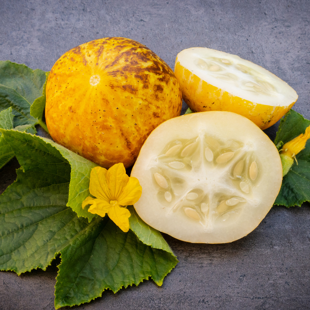 Cucumber - Lemon (8-10 Seeds)