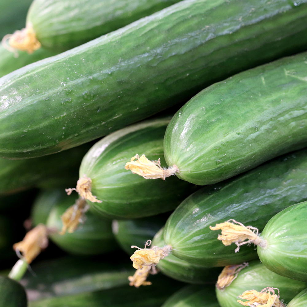 Cucumber – Straight Eight (8-10 Seeds)