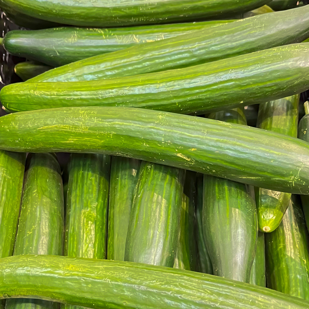 Cucumber – Tendergreen Burpless (8-10 Seeds)