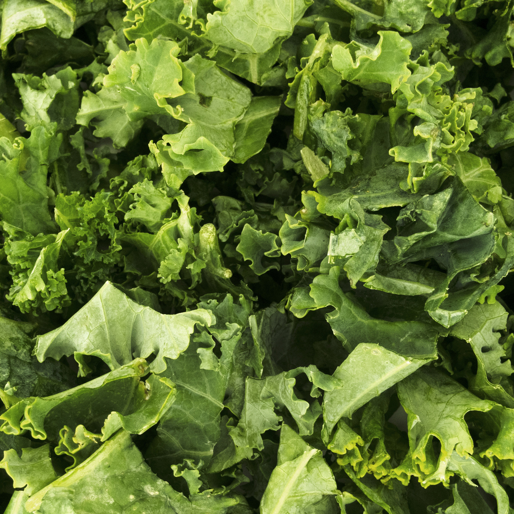 Kale – Premier (30-40 Seeds)