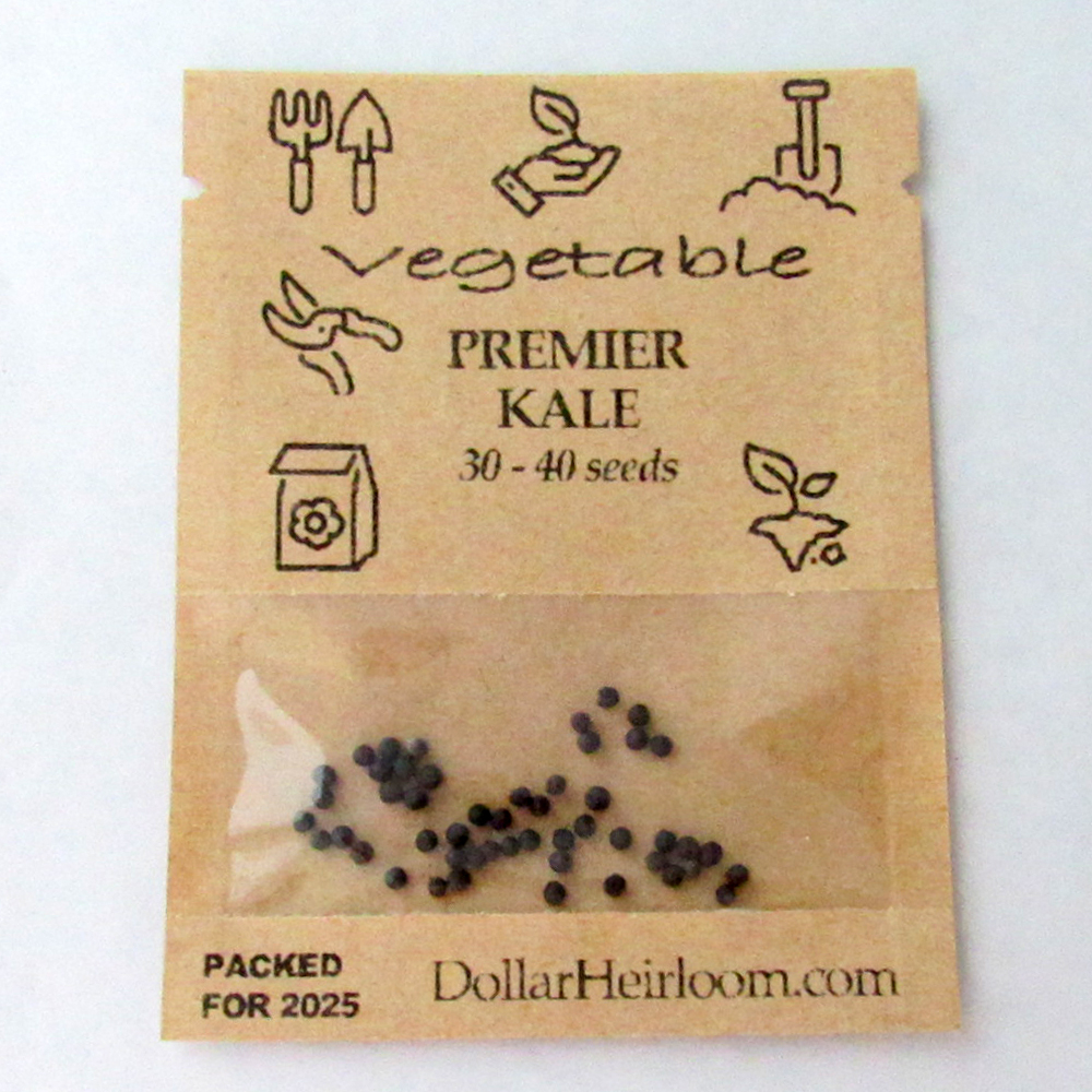 Kale – Premier (30-40 Seeds)
