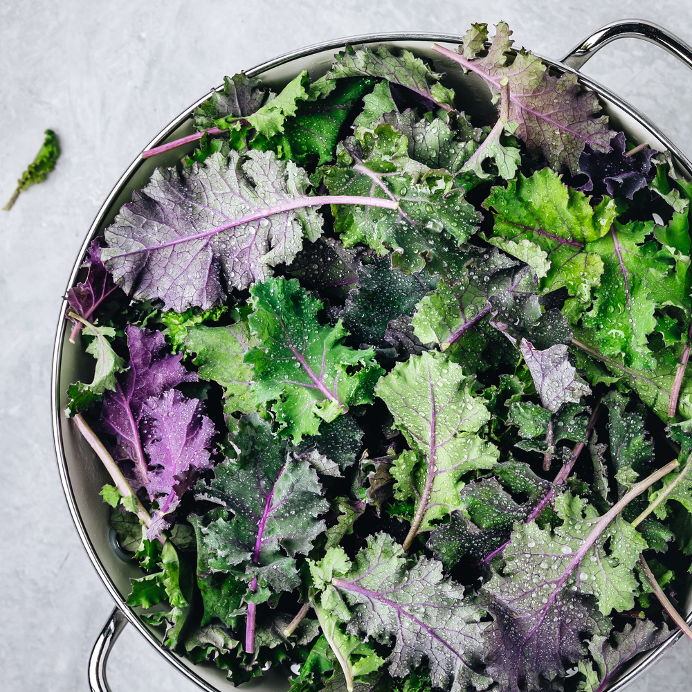 Kale - Red Russian (30-40 Seeds)