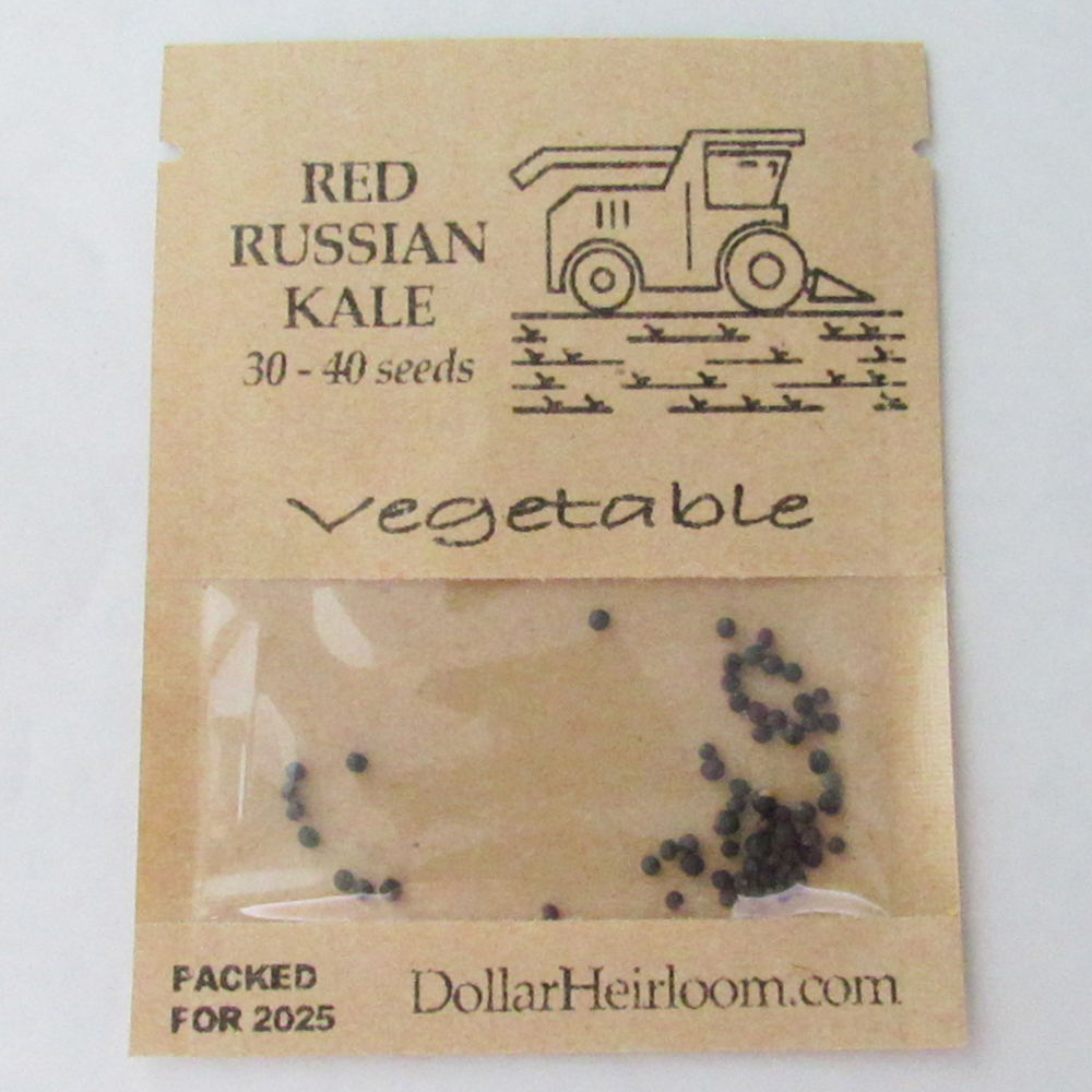 Kale – Red Russian (30-40 Seeds)