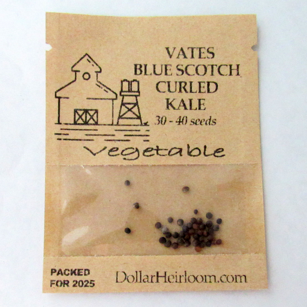 Kale – Vates Blue Scotch Curled (30-40 Seeds)