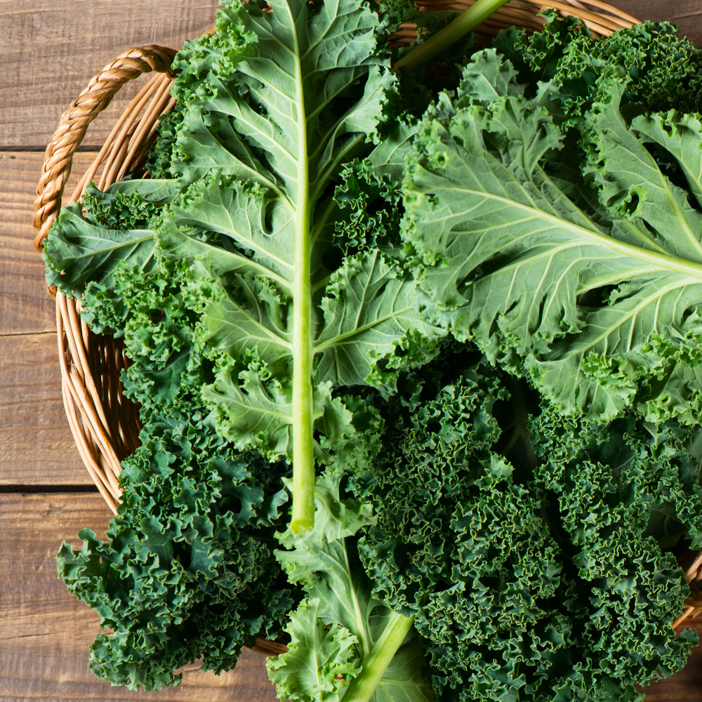 Kale – White Russian (30-40 Seeds)
