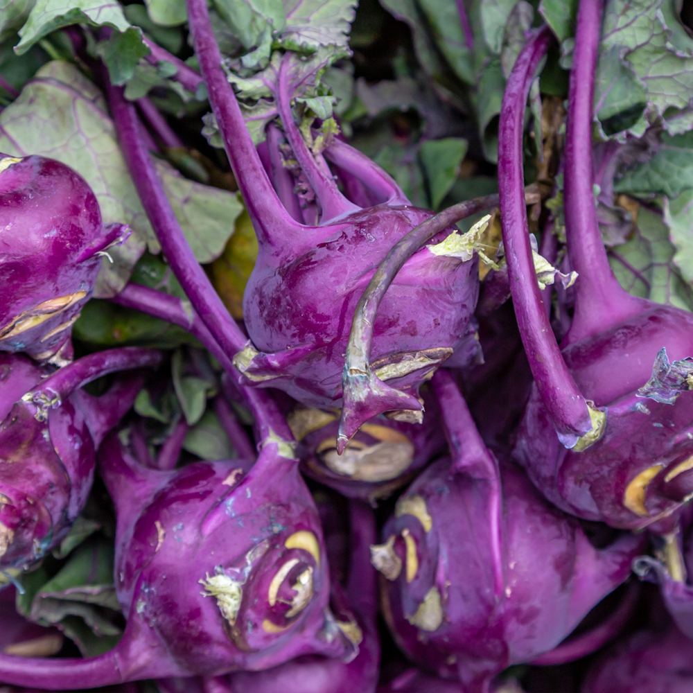 Kohlrabi – Purple Vienna (40-50 Seeds)