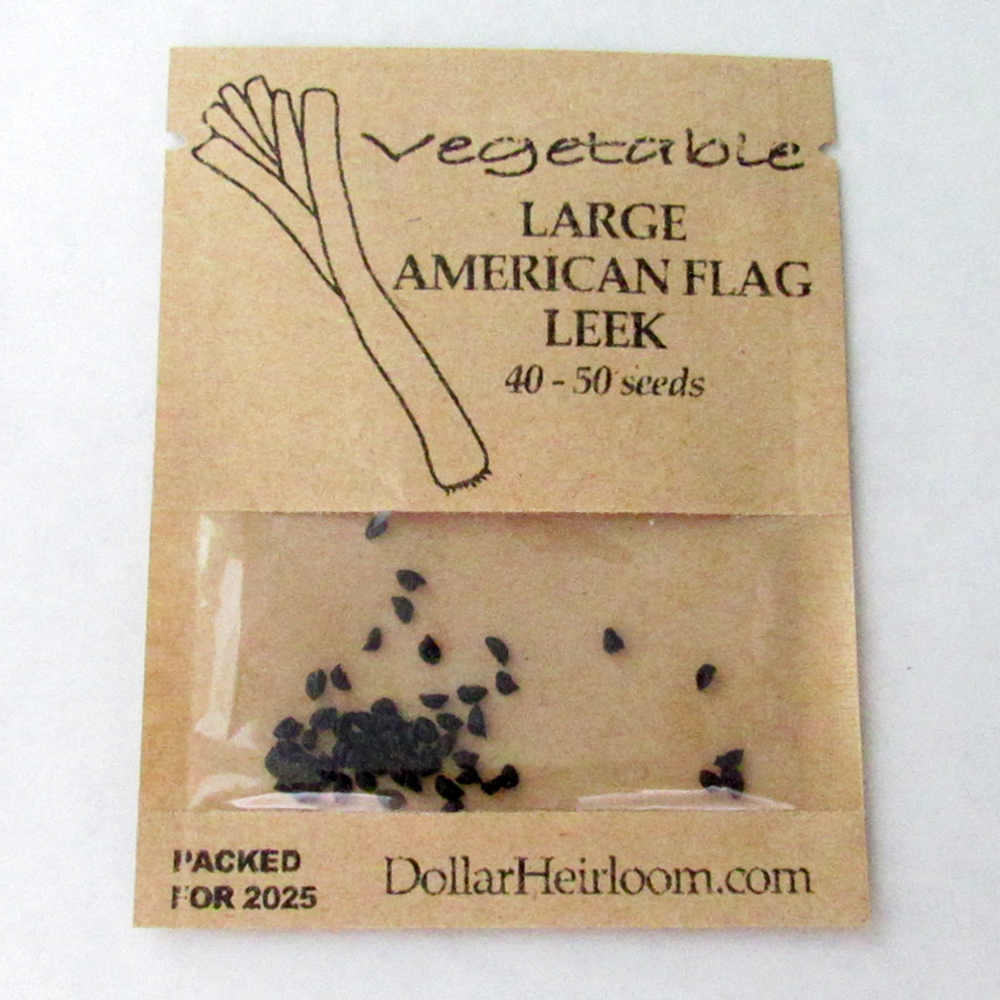 Leek – Large American Flag (40-50 Seeds)