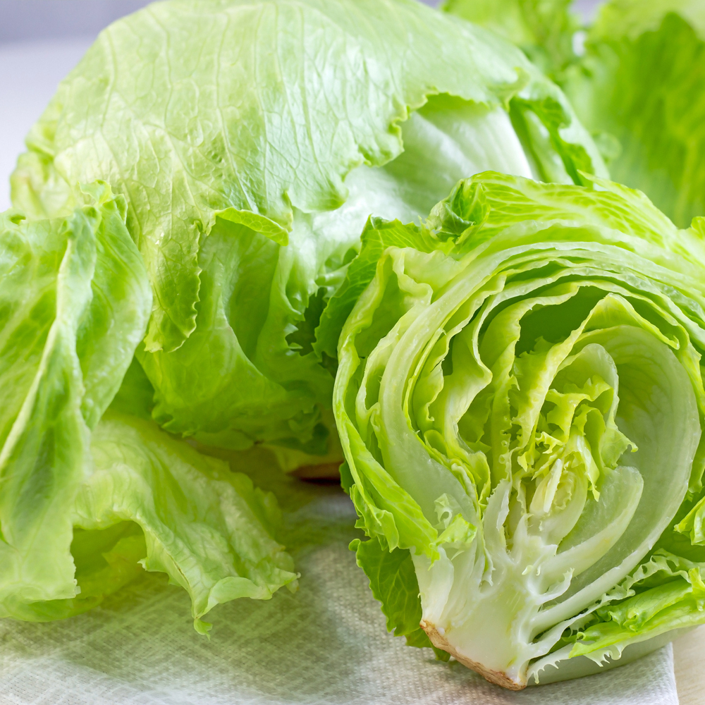 Lettuce – Crisphead – Iceberg (180-200 Seeds)