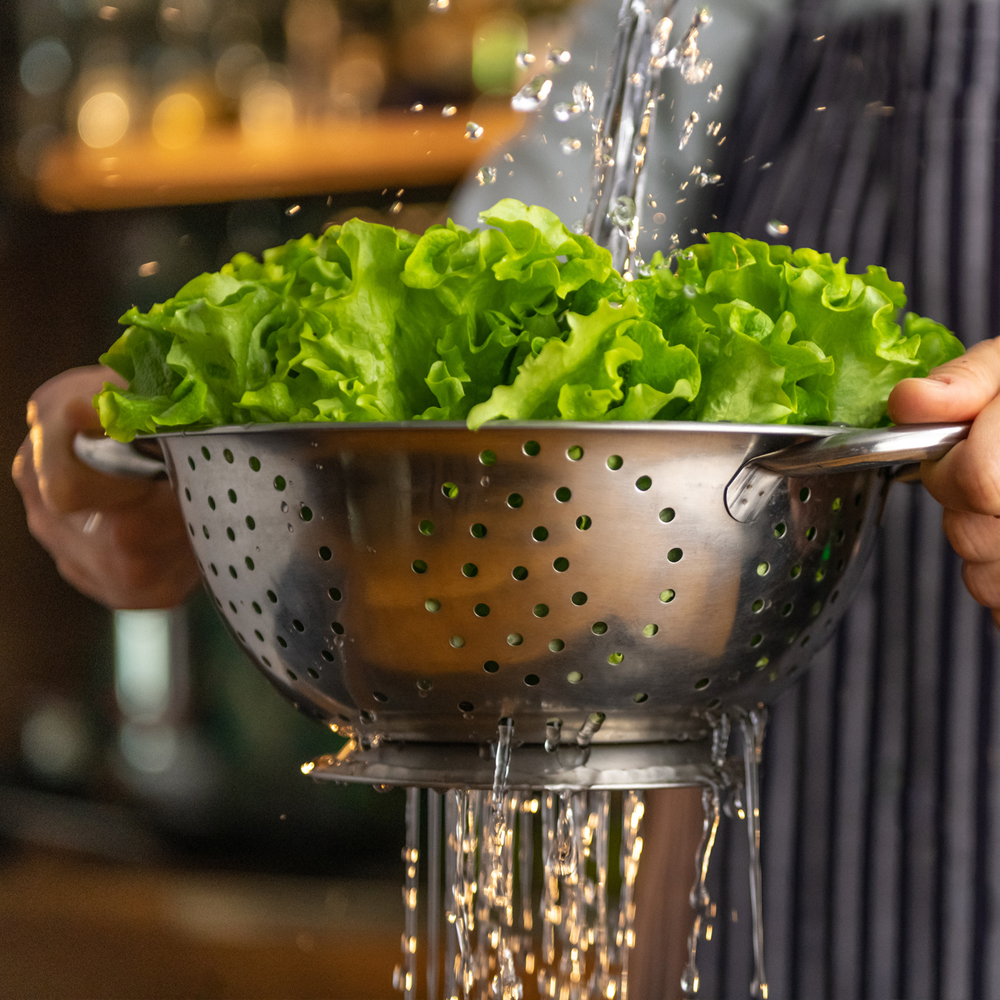 Lettuce - Leaf - Salad Bowl Green (220-240 Seeds)