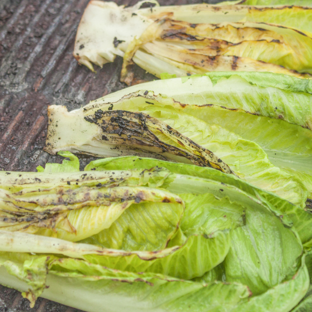 Lettuce - Romaine - Little Gem (220-240 Seeds)