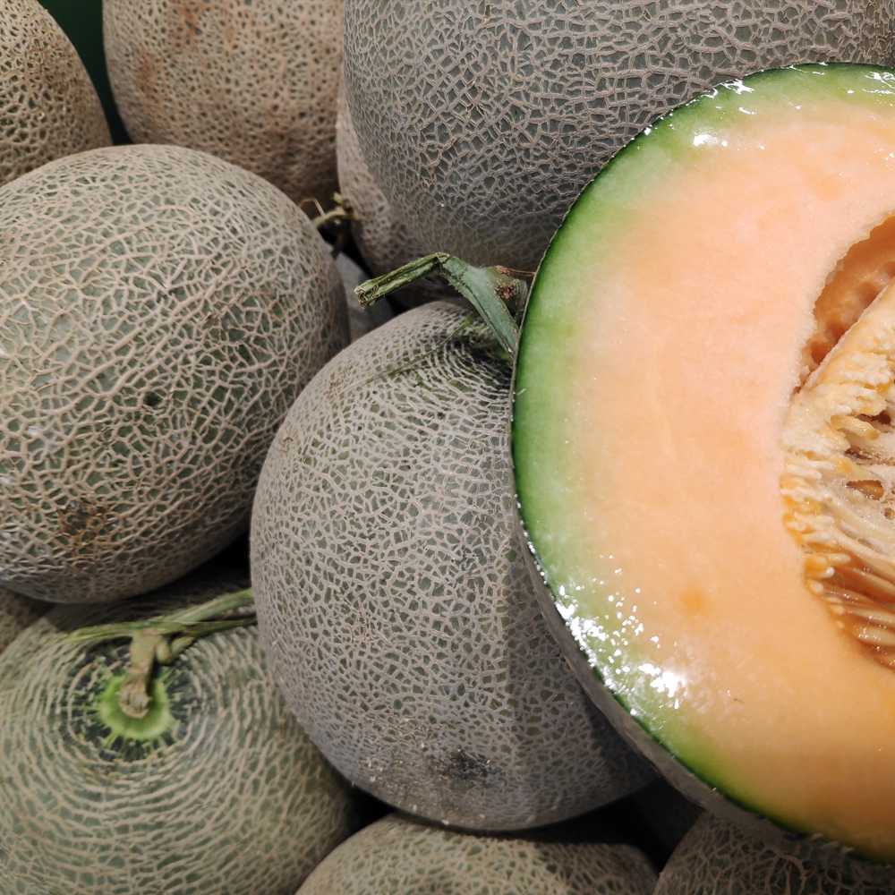Melon – Cantaloupe – Imperial 45 (8-10 Seeds)