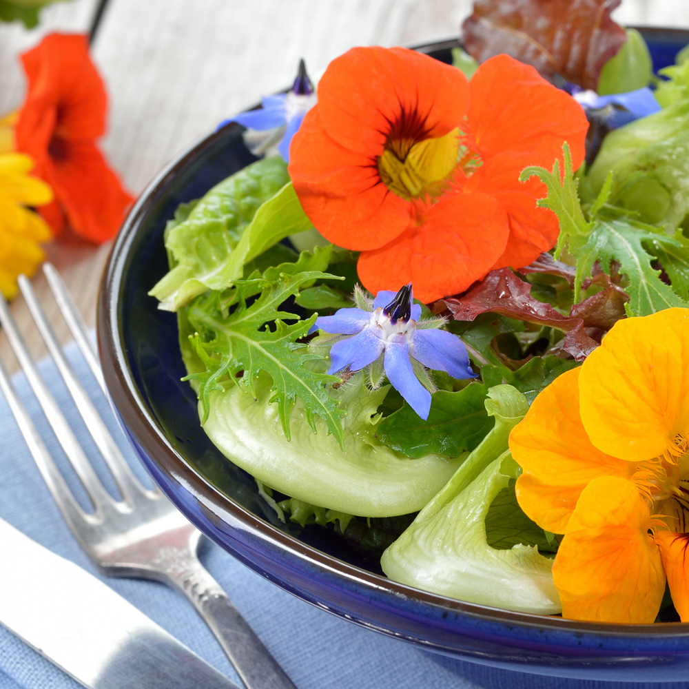 Nasturtium - Jewel Mix (8-10 Seeds)