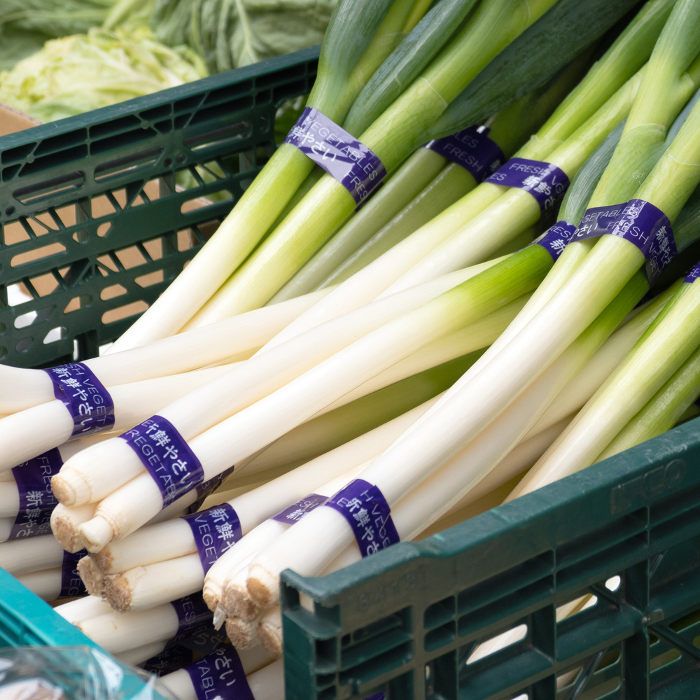 Onion - Bunching - Tokyo Long White (80-100 Seeds)