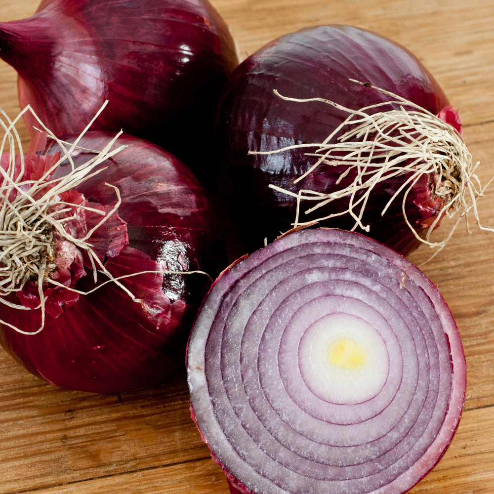 Onion – Short – Red Creole (60-80 Seeds)