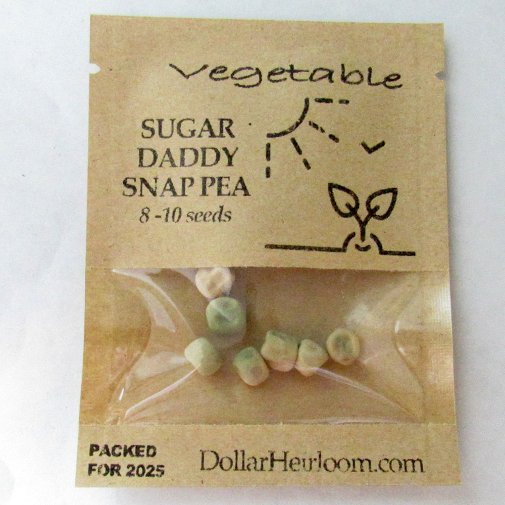 Pea – Snap – Sugar Daddy (8-10 Seeds)