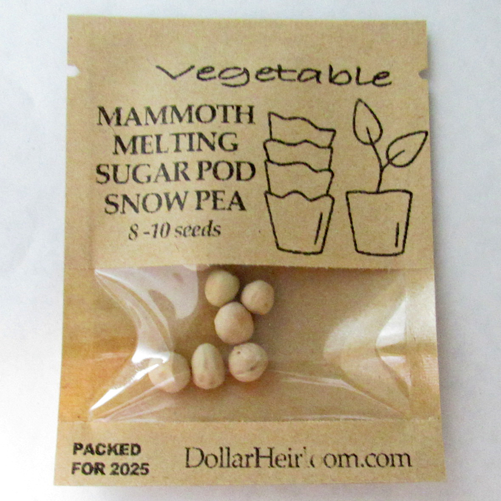 Pea – Snow – Mammoth Melting Sugar Pod (8-10 Seeds)
