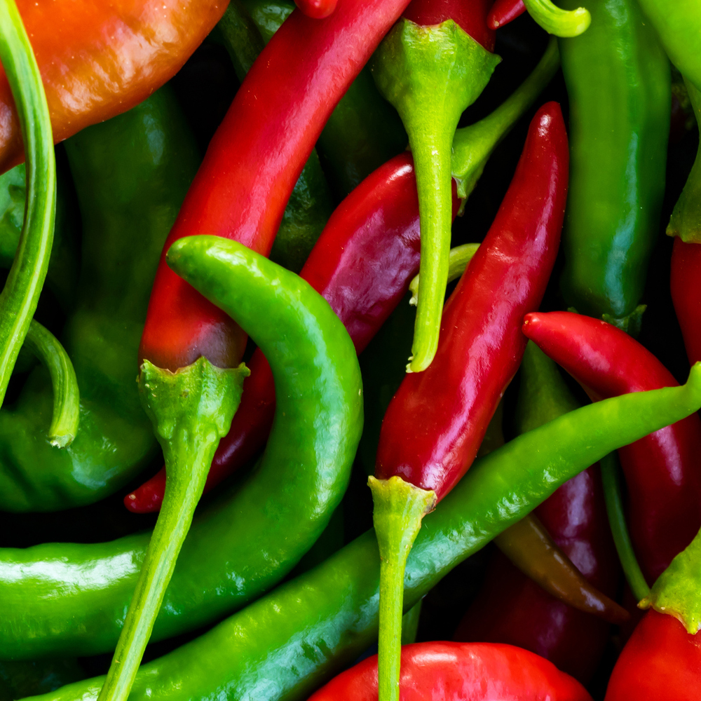 Pepper – Hot – Anaheim Chili (14-16 Seeds)