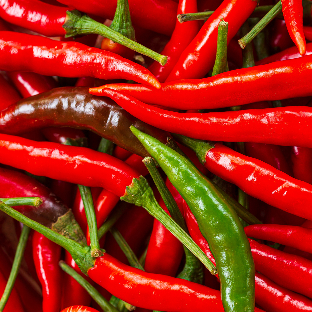 Pepper – Hot – Cayenne Long Slim (14-16 Seeds)