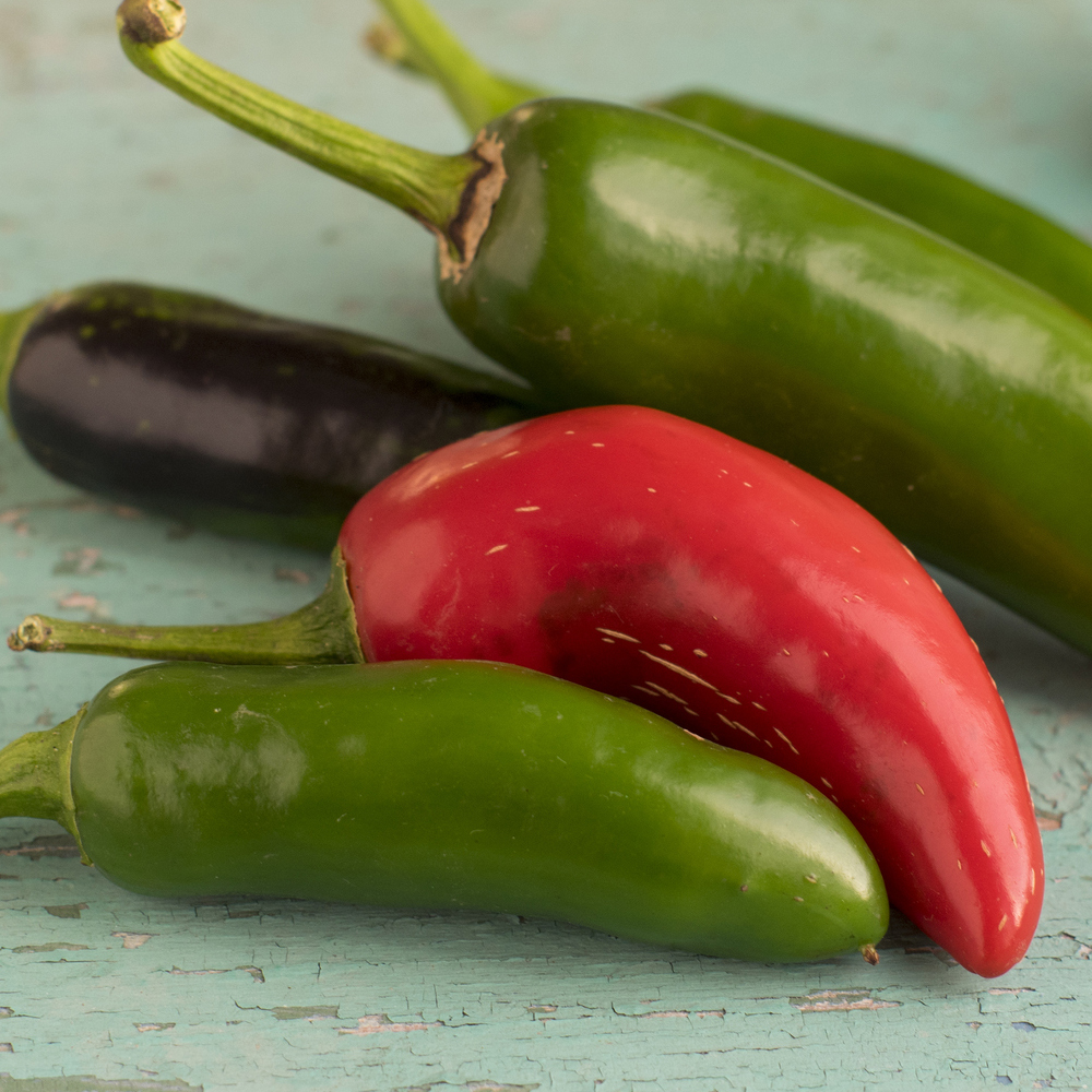 Pepper - Hot - Jalapeno Early