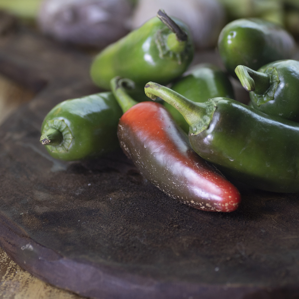 Pepper - Hot - Jalapeno Early