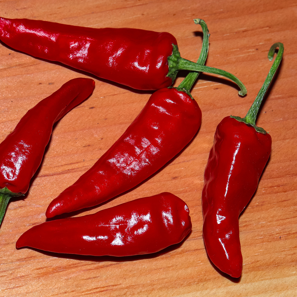 Pepper – Hot – Serrano Tampiqueno (14-16 Seeds)