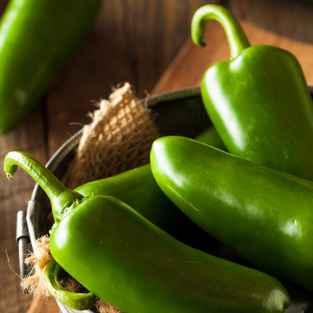 Pepper - Hot - TAM Jalapeno