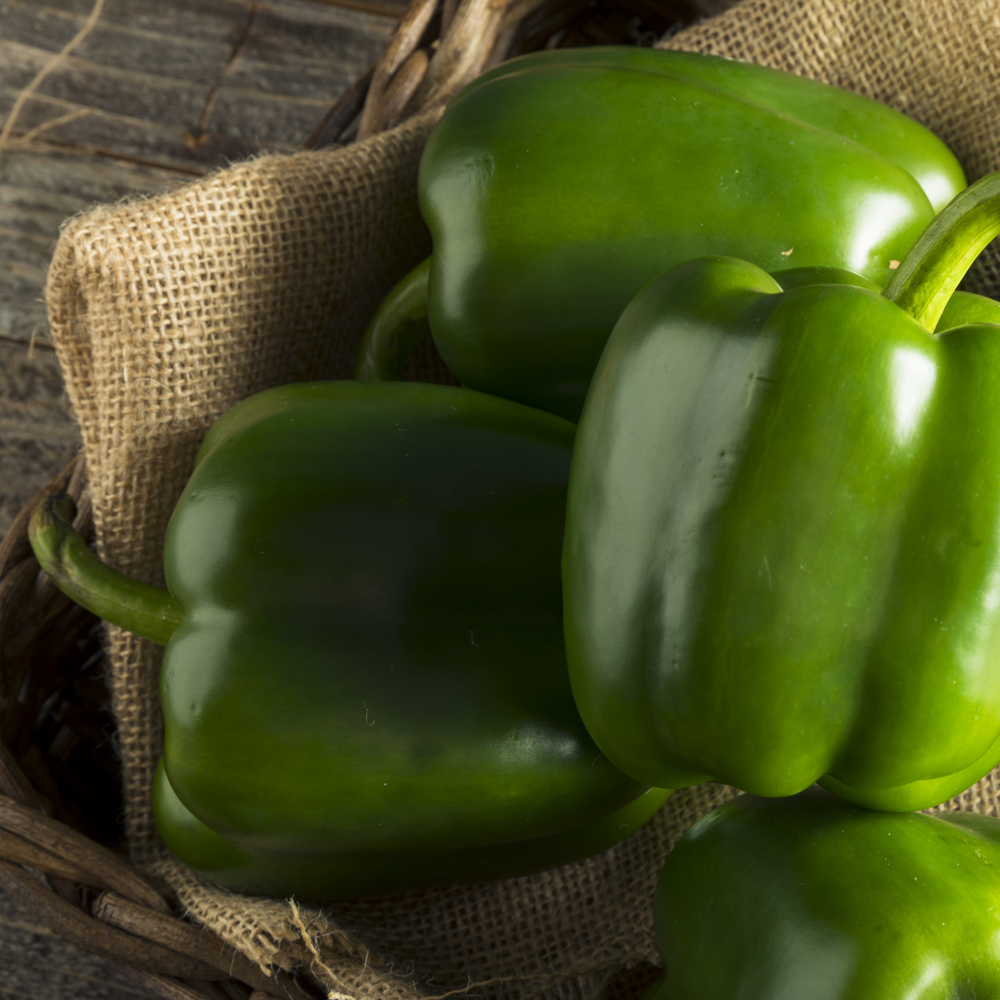 Pepper – Sweet – Emerald Giant (14-16 Seeds)