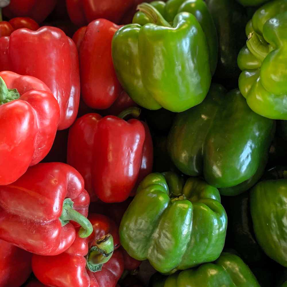 Pepper – Sweet – Keystone Resistant Giant (14-16 Seeds)